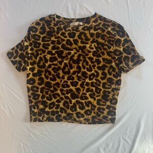 Zara Animal Print Knit Top